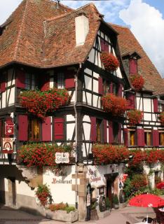 Hôtel Restaurant Zum Schnogaloch - Obernai - 7