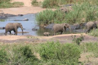 Villa-Candilabra Guesthouse - 0