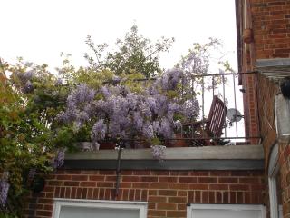 Charming Luxury Stay in Central Oxford - 9