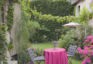 Clos des Glycines - 7