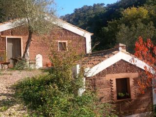 Quiet and cottage in the estate Casas da Cerca near Troviscais - Troviscais - 5