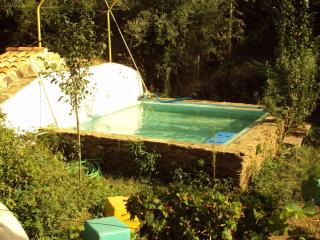 Quiet and cottage in the estate Casas da Cerca near Troviscais - Troviscais - 0