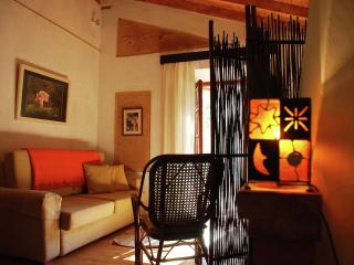 Quiet and cottage in the estate Casas da Cerca near Troviscais - Troviscais - 8