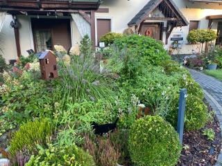 Apartamenty ANNA - 6