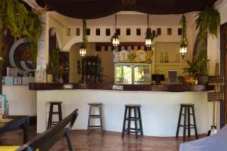 MoovInn Garden Guesthouse - 4