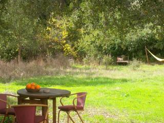 Quiet and cottage in the estate Casas da Cerca - Troviscais - 6