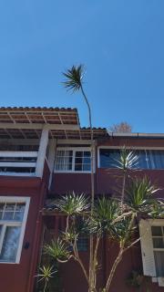 Pousada Villa Provence - 3