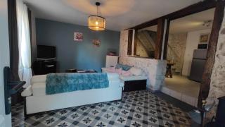 Gite Centre Montbazon - 1