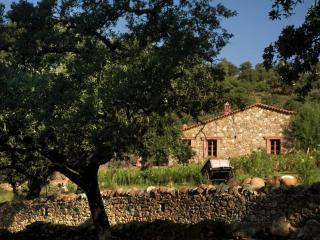 Cottage The Eagle with garden in Alajar - Alájar - 1