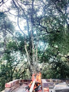 Nature's Valley Health Retreat A Hide away in the Forest - 4