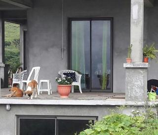 Studio Petra - 1
