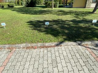 Büki Villa Park Apartman - 1