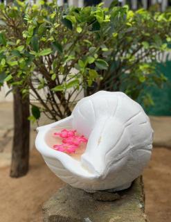 Janus Paradise Rest - 1