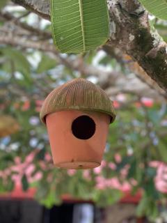 Janus Paradise Rest - 2