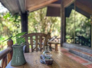 Private Forest Cottage in Near Chiang Mai - 1