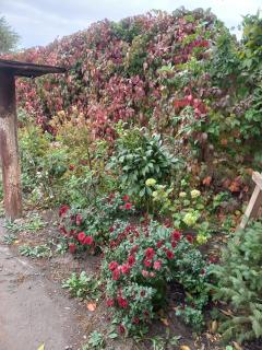 Asman Guest House - 2