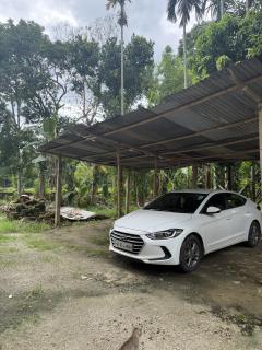 The Family Haven Homestay - 3