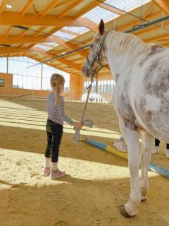 Hof Köhne - Altes Bauernhaus - Wohnung Pony - 4