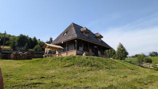 Casa Vlădușca - 7