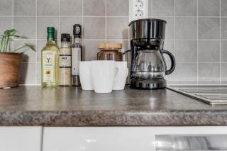 Arctic Penthouse I Central I Views - 8