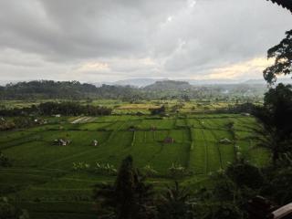 Kubu carik homestay - 7