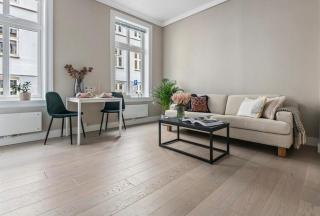 Central 2 room high standard apartment - 0