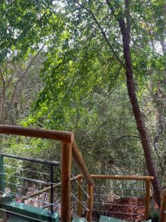 Chalé Santo Antônio do Pinhal - 9