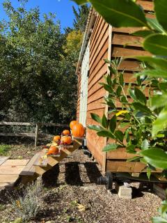 The little shepherds hut - 4