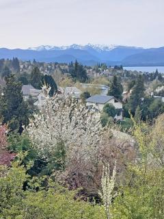 Michay Cabaña en entorno tranquilo y Vista al Lago - 3