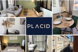 L'Atelier-Hyper centre- Lumineux - 9