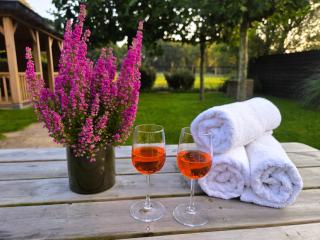 "Huisje op de Veluwe" met privé Jacuzzi en Bar! - 0