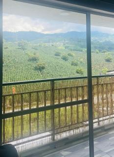 Dosquebradas apartamento lux - 6