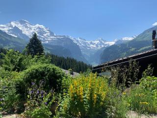 Cozy Chalet in Wengen with best views - 8
