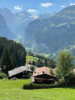 Cozy Chalet in Wengen with best views - 5