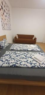 Sweet 2BR Shared Apt next to Enkplatz U3 - 2