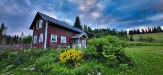 Aurora Cottage Åre Järpen - 9