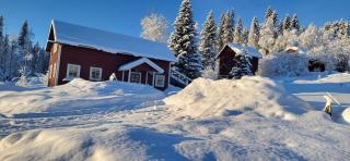 Aurora Cottage Åre Järpen - 8