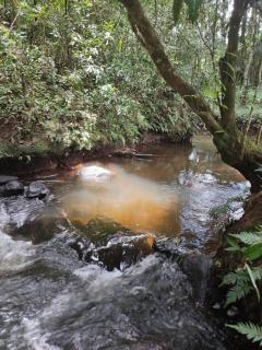 Casa de Campo Caminho do Petar - Rancho Quemeninho - 8