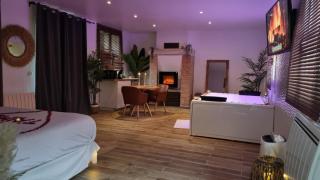 loft indépendant JACUZZI jardin privatif 20min Paris - 9