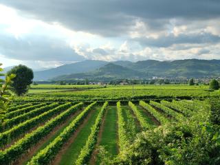 Villa Le Meridiane - apt n2 with kitchen - 2