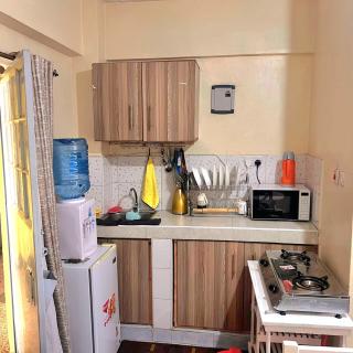 Haven Tulips studio - 2