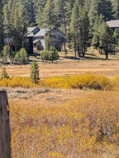 Kirkwood On Meadow 3br 1 ba - 8
