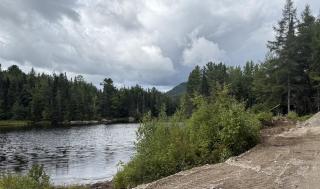 White Birch Mirror House at FarAway Pond - 4