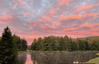White Birch Mirror House at FarAway Pond - 1