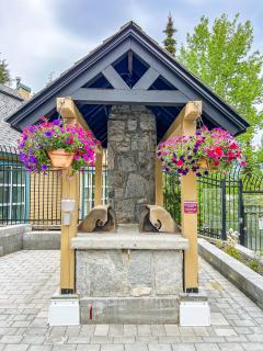 The Snowbird by Whiski Jack - 5