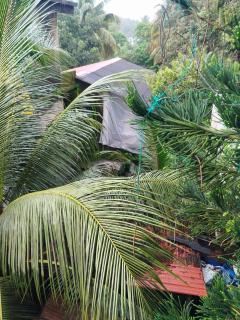 Piya guest house - 6