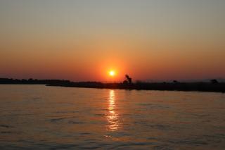 Mongwe Safari Camp - 7