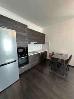 Panorama Dnipro apartment - Dobrovelychkivka - 4