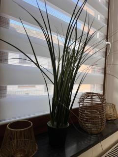 Happy Holiday Wilsenroth - 1