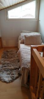 Ruska Levi - Cozy Apartment in the Center - 3